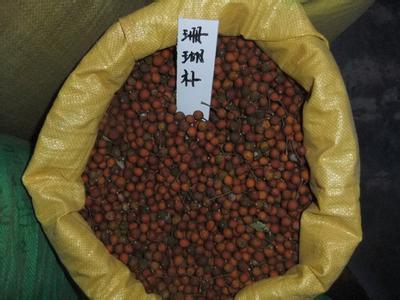 【咸阳市香椿种子价格】价格,厂家,其他种子、种苗-搜了网