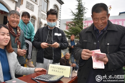 小连翘撬动大产业中药材种植助力脱贫攻坚 --陕西中医药大学制药厂赴旬邑收购连翘