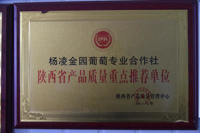 春耕生产看三秦|陈敏儒的“育苗经”
