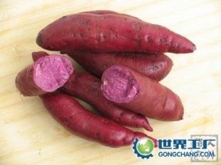 供应河北山东山西陕西安徽江苏湖北浙江紫薯及种苗_食品、饮料_世界工厂网中国产品信息库