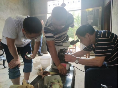 市老科协水产专家助力岳阳5万亩鲈鱼产业发展