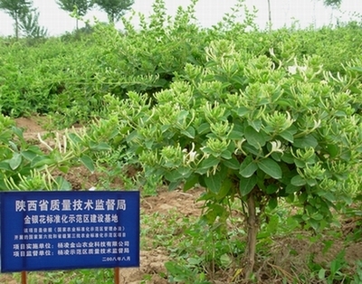 杨凌金山农业公司 - 商务信息 - 365农业网