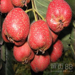 昆明
