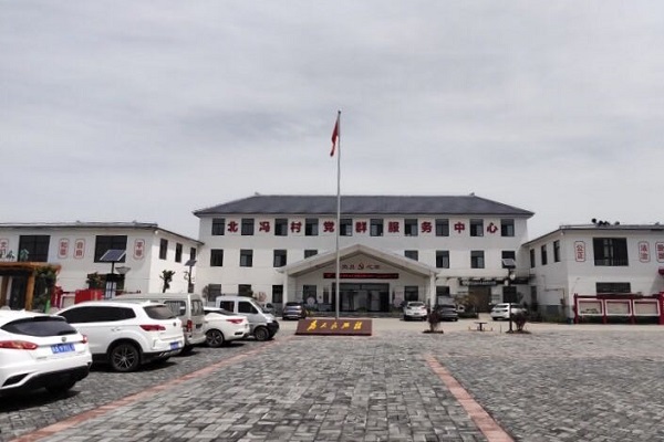 陕西阎良 为乡村振兴奠定产业基础 陕西种苗