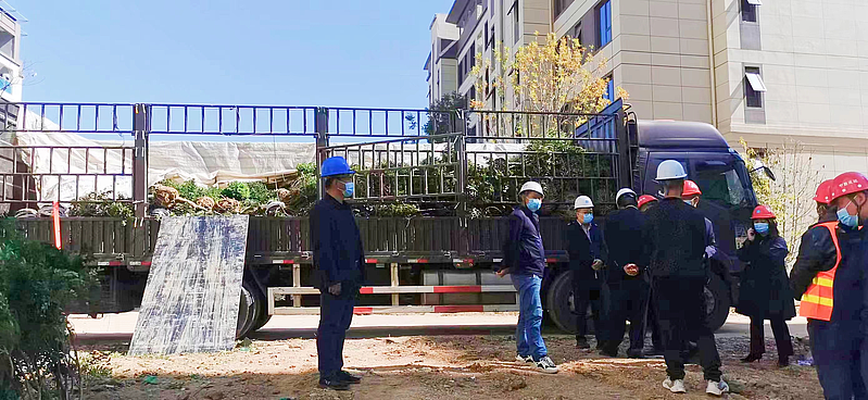 延安市森林病虫害防治检疫站 守护陕西种苗健康的绿色卫士